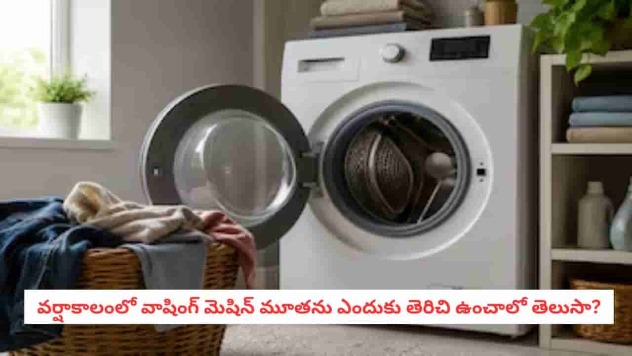 Monsoon Laundry: బట్టలు ఉతికిన వెంటనే వాషింగ్ మెషిన్ మూతను మూసేస్తున్నారా?.. దీని వల్ల ఎంత నష్టమో తెలుసా?
