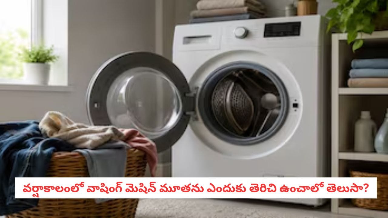 Monsoon Laundry: బట్టలు ఉతికిన వెంటనే వాషింగ్ మెషిన్ మూతను మూసేస్తున్నారా?.. దీని వల్ల ఎంత నష్టమో తెలుసా?