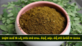 అల్ ఇన్ వన్ కారం పొడి.. టిఫిన్స్ ,అన్నం లోకి సూపర్ గా ఉంటది