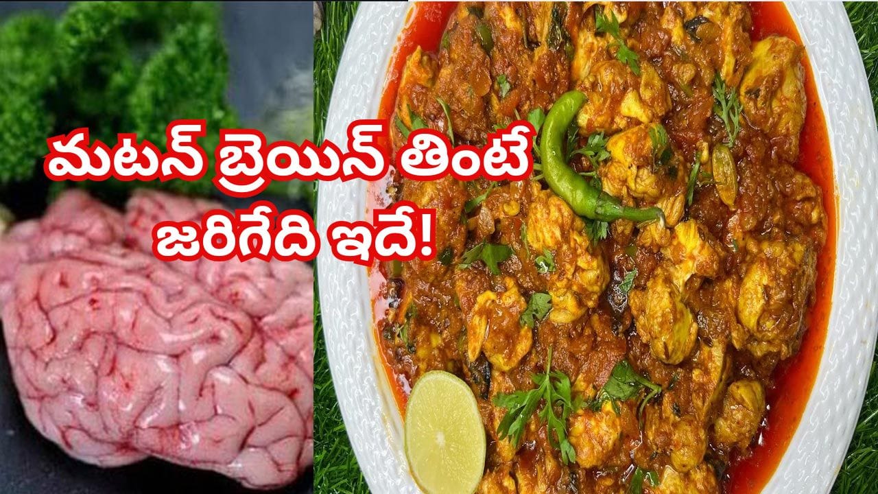 Goat Brain: మటన్ ప్రియులారా బేజా ఫ్రై ఇష్టంగా తింటున్నారా..? శరీరంలో జరిగేది తెలిస్తే.. Goat Brain: మటన్ ప్రియులారా బేజా ఫ్రై ఇష్టంగా తింటున్నారా..? శరీరంలో జరిగేది తెలిస్తే..