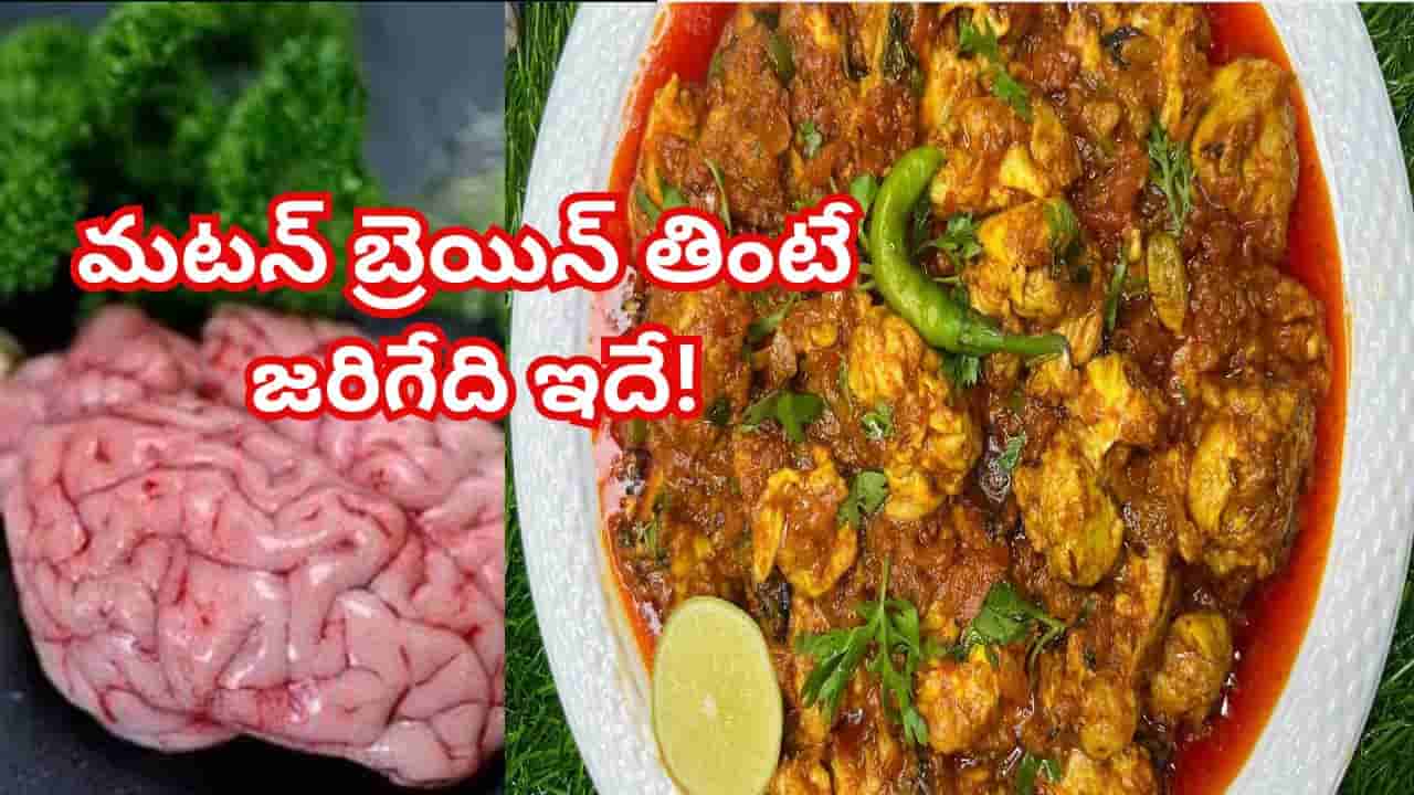 Goat Brain: మటన్ ప్రియులారా బేజా ఫ్రై ఇష్టంగా తింటున్నారా..? శరీరంలో జరిగేది తెలిస్తే..