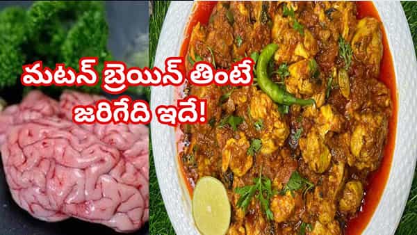 Goat Brain: మటన్ ప్రియులారా బేజా ఫ్రై ఇష్టంగా తింటున్నారా..? శరీరంలో జరిగేది తెలిస్తే..