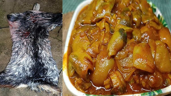 మటన్ స్కిన్ తినొచ్చా? ఎలా తినాలి? ప్రయోజనాలు, జాగ్రత్తలు ఇవే