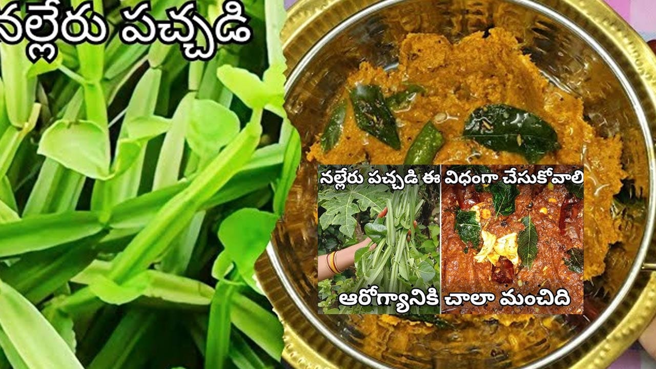 నల్లేరు పచ్చడి తయారీ విధానం స్టెప్ 1 : పచ్చి మిర్చి, టమాటాలను కూడా దీనిలో మగ్గించుకుని రోటిలో బాగా మంచిగా నూరుకోవాలి. ఇక చివర్లో గ్యాస్ వెలిగించి పాన్లో ఆయిల్ వేసి పచ్చిమిర్చి, నాలుగు వెల్లుల్లి వేసి బాగా వేయించాలి. ఆ తరువాత నల్లేరు కాడలను వేసి మెత్తగా అయ్యేవరకు నూరుకుని తినాలి