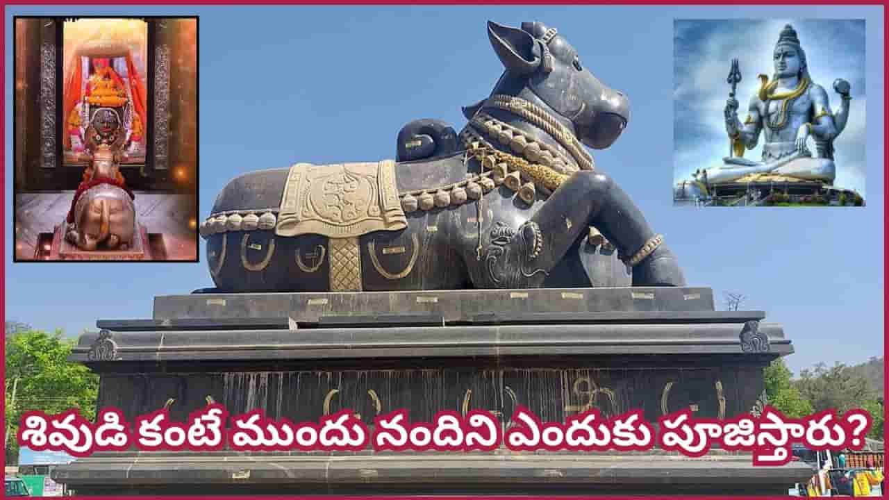 ప్రతి శివాలయంలో నంది ఒకేలా ఉండడు..! ఈ 5 రకాల నందుల అసలు అర్థం తెలిస్తే ఆశ్చర్యపోతారు!