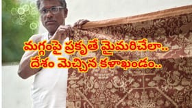 చేనేత కళాకారుడు నేసింది చీర కాదు..! దేశం మెచ్చిన కళాఖండం