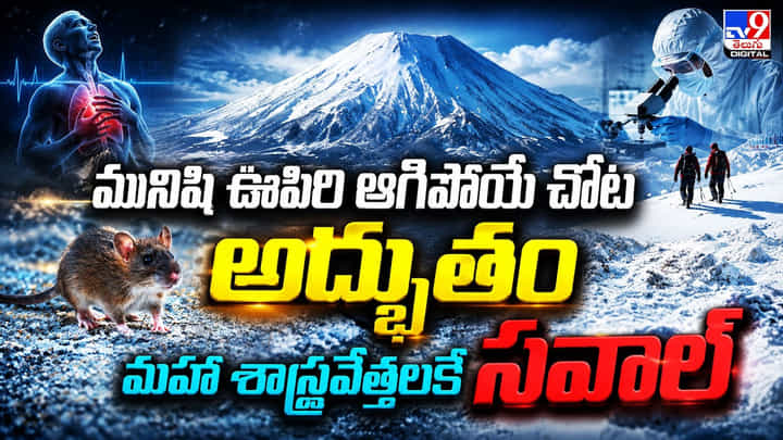 మనిషి ఊపిరి ఆగిపోయే చోట అద్భుతం మహా శాస్త్రవేత్తలకే సవాల్ మనిషి ఊపిరి ఆగిపోయే చోట అద్భుతం మహా శాస్త్రవేత్తలకే సవాల్