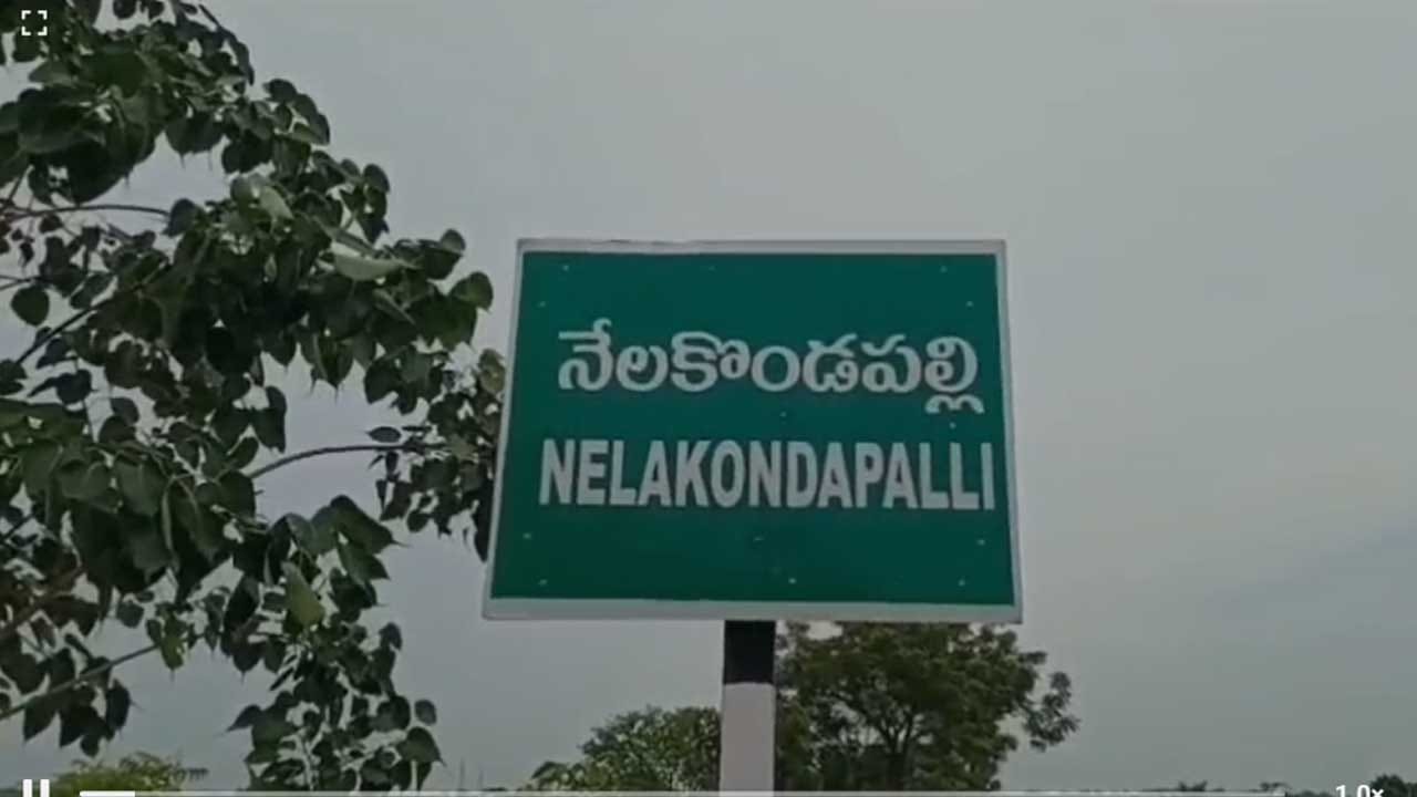 కారు యజమాని దిగమని ఎంత బెదిరించినా అది వినకుండా యజమానిపైకే దాడికి దిగేలా భయపెట్టింది. రెండు గంటల పాటు అది కారుపైనే తిష్ట వేసి కూర్చుంది. ఈ వింతను చూసేందుకు స్థానికులు, వాహనదారులు గుమిగూడారు.