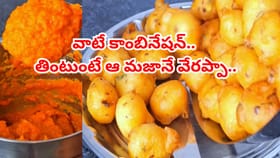 నెల్లూరు పులిబొంగరాలు ఎర్రకారం.. సూపర్ కాంబినేషన్..