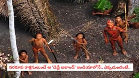 నరరూప రాక్షసులుండే ఆ 'డెడ్లీ ఐలాండ్' ఇండియాలోనే.. ఎక్కడుందంటే..