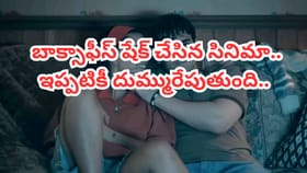 బాక్సాఫీస్ షేక్ చేసిన సినిమా.. ఇప్పటికీ దుమ్మురేపుతుంది..