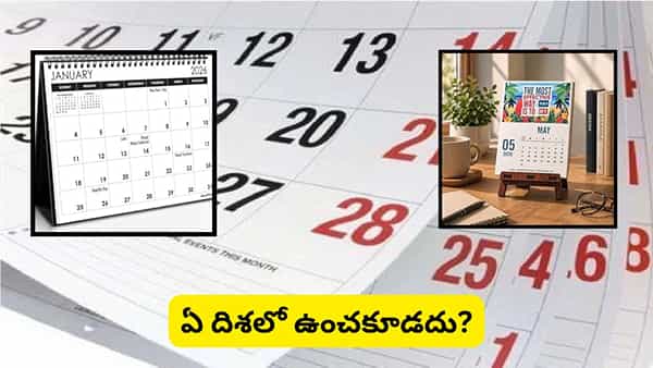 Vastu Tips: ఆఫీస్ డెస్క్పై క్యాలెండర్ ఉందా? ఈ దిశలో పెడితే ప్రమోషన్, ధనయోగం కలిసి వస్తాయట!