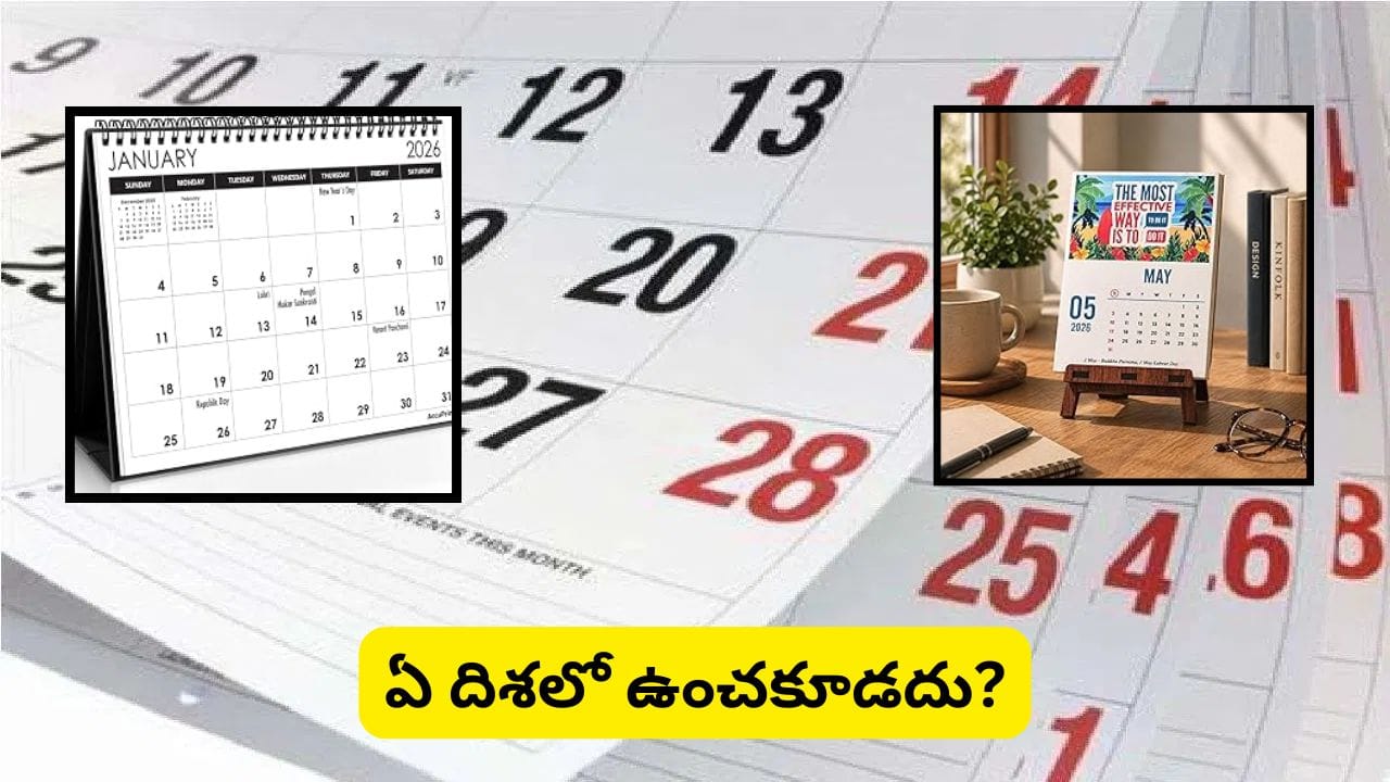 Vastu Tips: ఆఫీస్ డెస్క్పై క్యాలెండర్ ఉందా? ఈ దిశలో పెడితే ప్రమోషన్, ధనయోగం కలిసి వస్తాయట!