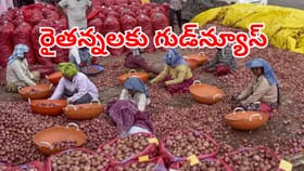 ఉల్లి రైతులకు సూపర్ గుడ్‌న్యూస్.. క్వింటాల్‌ ధరపై భారీగా పెంపు..