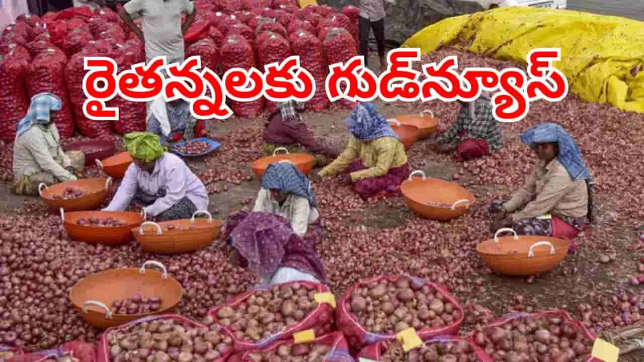 Onion Price Hike: ఉల్లి రైతులకు సూపర్ గుడ్న్యూస్.. క్వింటాల్ ధరపై భారీగా పెంపు.. ఎంతంటే?