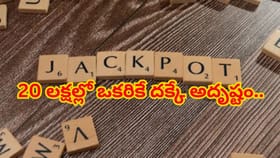 అర్ధరాత్రి ఆడిన లాటరీ.. ఉదయానికి రూ.1.4 కోట్ల యజమానిగా మారిన మహిళ