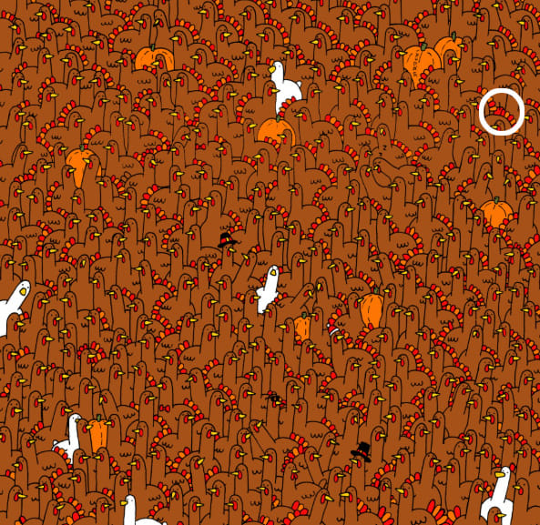 Optical Illusion
