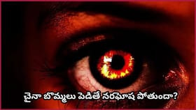 నరదిష్టి, నరఘోష పోవాలంటే బొమ్మలు కాదు.. ఈ ఒక్క పని చేయాలంటున్న..