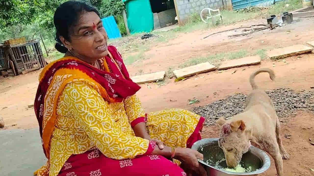 Vijayawada: కడుపు కోతను కరుణగా మార్చిన తల్లి.. ఆమె కథ వింటే హృదయం చలిస్తుంది..