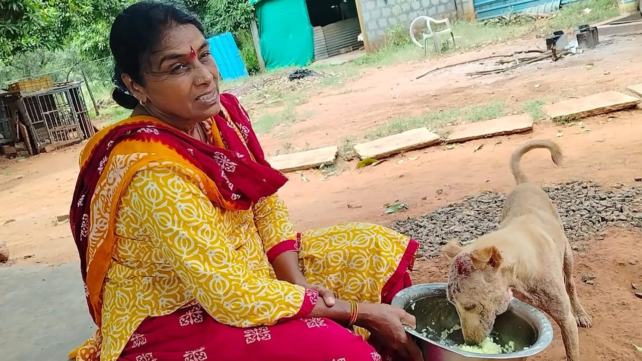 Vijayawada: కడుపు కోతను 'కరుణ'గా మార్చిన తల్లి.. ఆమె కథ వింటే హృదయం చలిస్తుంది..