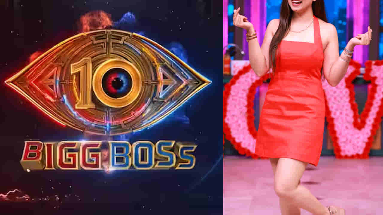 Bigg Boss 10 Telugu : అప్పుడు తెలుగులో బ్యాన్ చేశారు.. కట్ చేస్తే.. ఇప్పుడు బిగ్ బాస్లోకి ఎంట్రీ.. బుల్లితెరపై భారీ క్రేజ్..