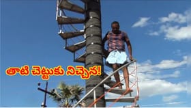 నాన్నకు ప్రేమతో తాటి చెట్టుకు నిచ్చేన..! 55 అడుగుల ఎత్తు హాయిగా
