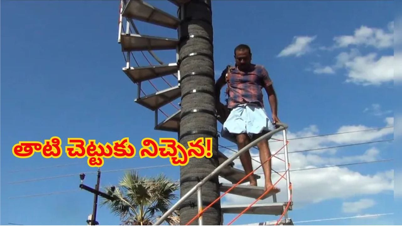 నాన్నకు ప్రేమతో తాటి చెట్టుకు నిచ్చేన..55 అడుగుల ఎత్తు హాయిగా ఎక్కిదిగేయొచ్చు..!