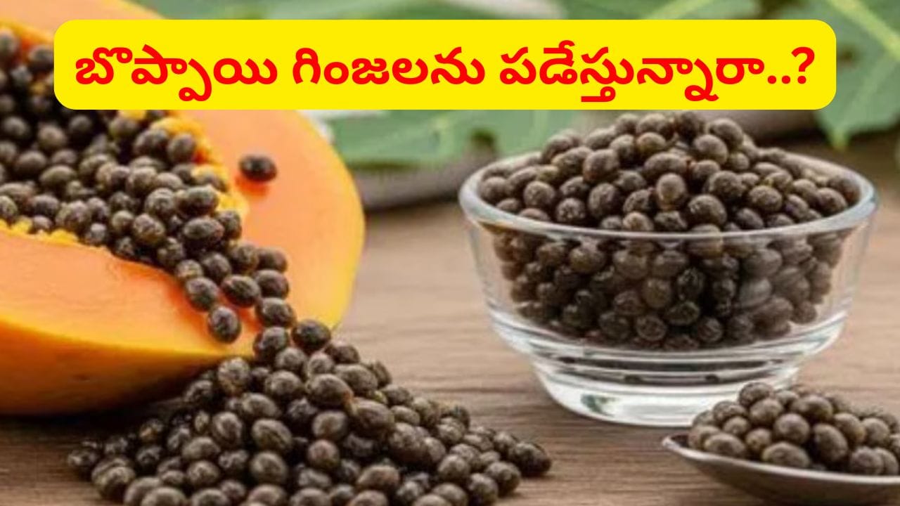 బొప్పాయి గింజలను పడేస్తున్నారా..? ఇది తెలిస్తే అస్సలు వదలరు..