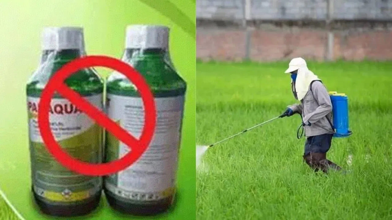 ప్రాణాలు తీస్తున్న గడ్డి మందు.. పారాక్వాట్పై కేంద్రం సంచలన నిర్ణయం.. 30 రోజుల్లో..