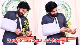 అరుదైన వృక్ష జాతి మొక్కకు నామకరణం చేసిన పవన్ కల్యాణ్..