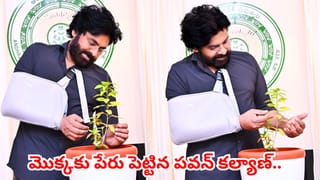 అరుదైన వృక్ష జాతి మొక్కకు పేరు పెట్టిన పవన్ కల్యాణ్.. దీని స్పెషల్ ఏంటో తెలుసా..?