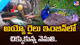పరుగులు తీస్తున్న రైలు ఇంజిన్‌లో చిక్కుకున్న నెమలి.. కట్ చేస్తే