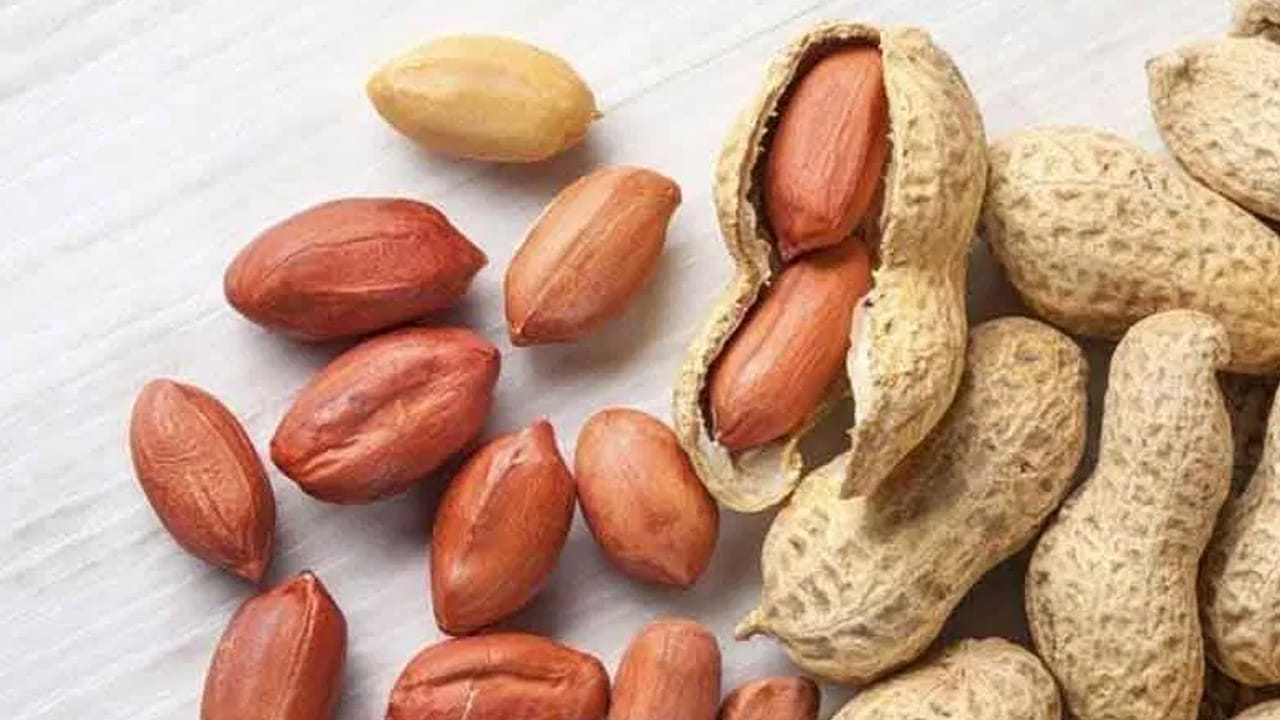 కిడ్నీలో రాళ్లు ఉన్నవారు (Kidney Stones): కిడ్నీ సంబంధిత సమస్యలు లేదా మూత్రపిండాల్లో రాళ్లు ఉన్నవారు పల్లీలకు దూరంగా ఉండాలి. వీటిలో ఆక్సలేట్లు (Oxalates) అధికంగా ఉంటాయి. ఇవి శరీరంలో క్యాల్షియంతో కలిసి కిడ్నీ రాళ్లుగా మారే ప్రమాదాన్ని పెంచుతాయి.
