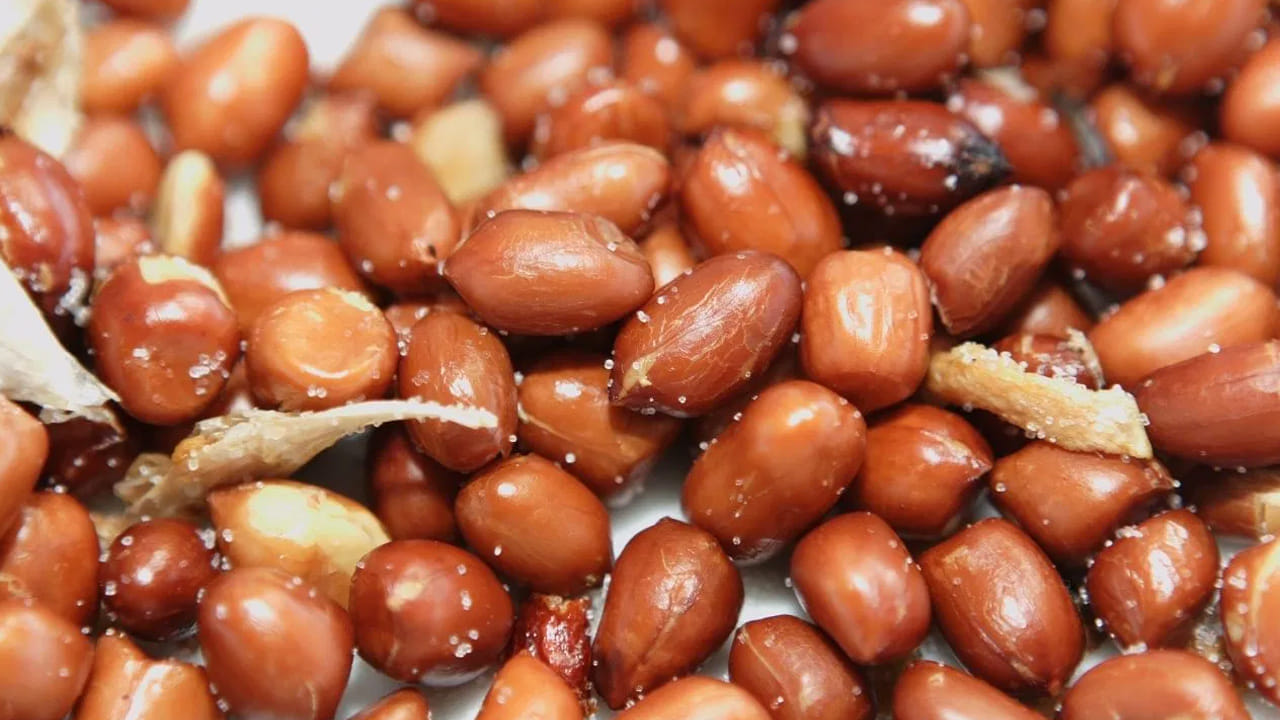 థైరాయిడ్ సమస్య ఉన్నవారు (Thyroid Patients): హైపోథైరాయిడిజంతో బాధపడేవారు వేరుశనగలను తీసుకోకపోవడమే మంచిది. పల్లీలలో గోయిట్రోజెన్స్ (Goitrogens) అనే సమ్మేళనాలు ఉంటాయి. ఇవి శరీరంలో థైరాయిడ్ గ్రంథి అయోడిన్‌ను గ్రహించకుండా అడ్డుకుంటాయి. దీనివల్ల థైరాయిడ్ హార్మోన్ల సమతుల్యత దెబ్బతిని, సమస్య మరింత ఎక్కువవుతుంది.