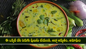 ఈ ఒక్కటి వేసి పెరుగు పులుసు చేయండి.. అబ్బో అద్భుతం.. అమోఘం