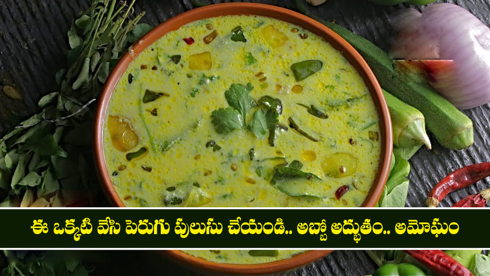 Perugu Pulusu: ఈ ఒక్కటి వేసి పెరుగు పులుసు చేయండి.. అబ్బో అద్భుతం.. అమోఘం.. ప్లేట్ ఖాళీ అవ్వాల్సిందే!