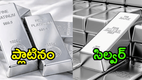 ప్లాటినం vs వెండి.. మధ్య తేడా కొనే ముందు తెలుసుకోండి