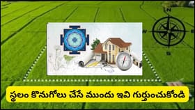 ఇల్లు లేదా వ్యాపార స్థలం కొనుగోలు చేస్తున్నారా? వాస్తు ప్రకారం..