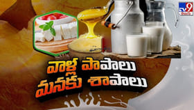 డెయిరీల్లోకి చేరిన కెమికల్.. వెలుగులోకి షాకింగ్ పాల స్కామ్..!