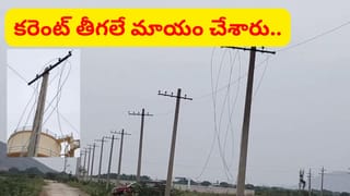 ఇంత కరువు పట్టి ఉన్నారేంట్రా.. స్థంభాలకున్న కరెంట్ తీగలనూ వదల్లేదు..