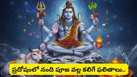 ప్రదోష వేళ మొదట నందిని ఎందుకు పూజిస్తారు? అసలు రహస్యం ఇదే!