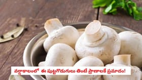 వర్షాకాలంలో ఈ పుట్టగొడుగులు తింటే ప్రాణాలకే ప్రమాదం!