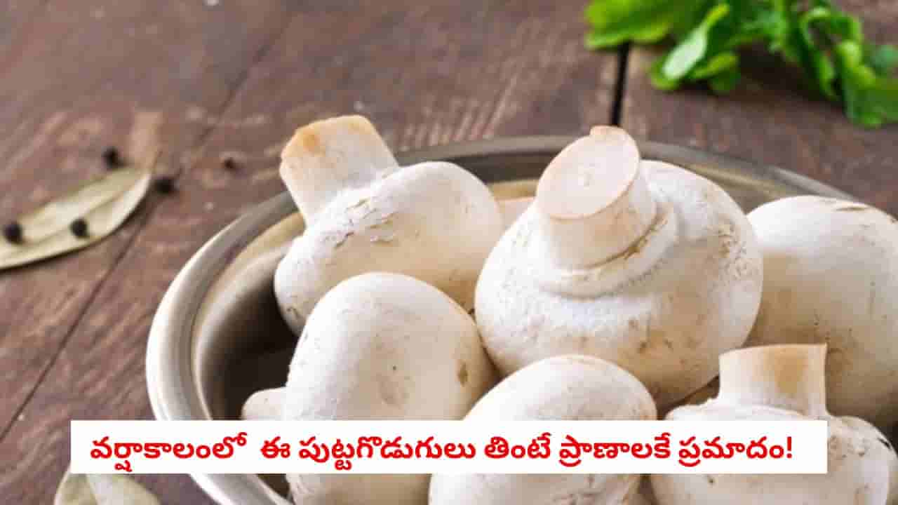 Monsoon Mushroom Alert: వర్షాకాలంలో పుట్టగొడుగులు తింటున్నారా?.. ఈ జాగ్రత్తలు తప్పనిసరి!