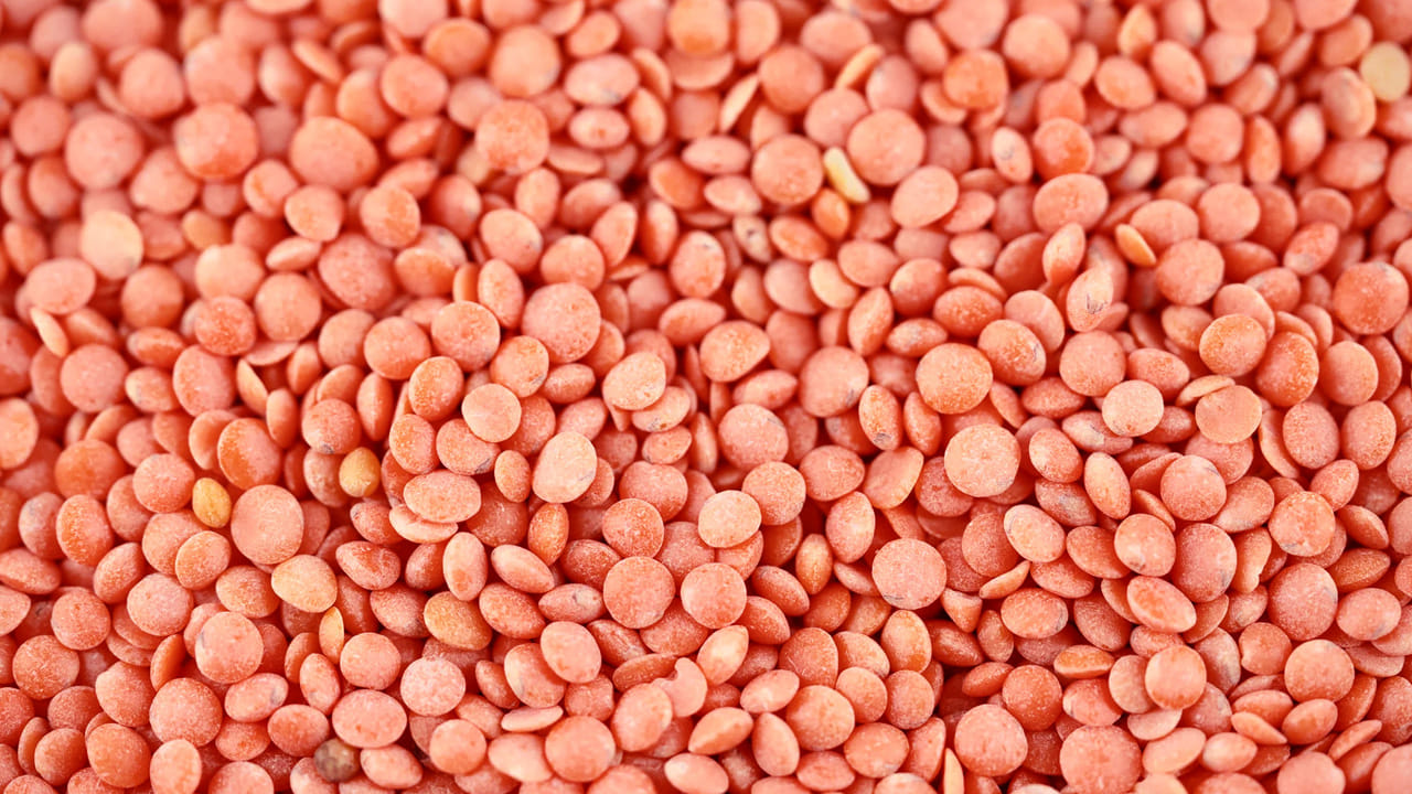 Protine Foods 4