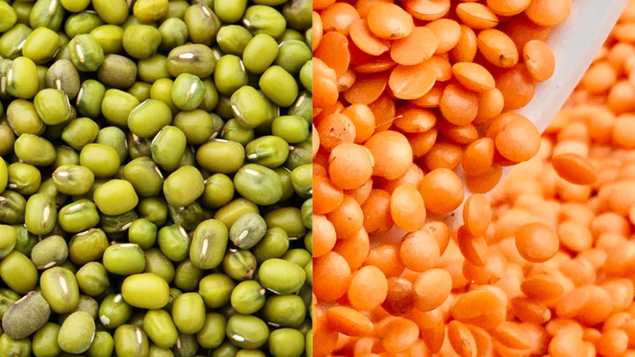 Protine Foods 6