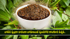 నోటికి పుల్లగా కారంగా నోరూరించే పులిహోర గోంగూర పచ్చడి.. 