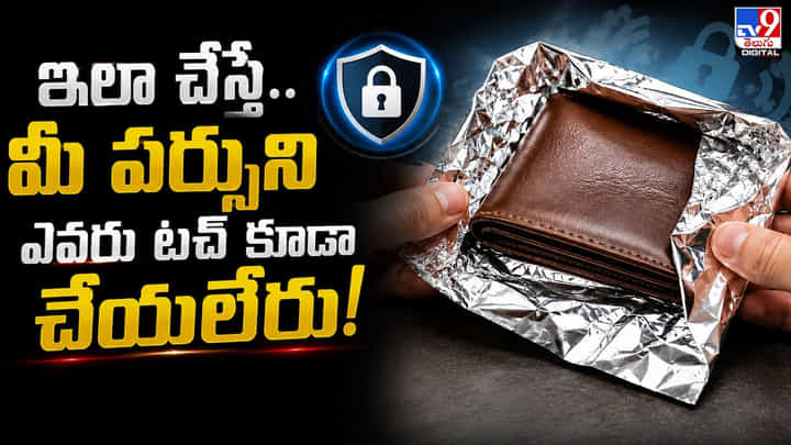 ఇలా చేస్తే.. మీ పర్సుని ఎవరూ టచ్ కూడా చేయలేరు! ఇలా చేస్తే.. మీ పర్సుని ఎవరూ టచ్ కూడా చేయలేరు!