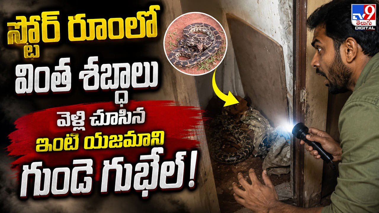 స్టోర్ రూంలో వింత శబ్దాలు వెళ్లి చూసిన ఇంటి యజమాని గుండె గుభేల్‌!