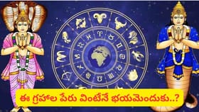 పేదవాడిని రాజుగా, రాజును పేదవాడిగా మార్చగలిగే గ్రహాలు ఇవే..!