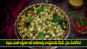 పిల్లలు ఎంతో ఇష్టంగా తినే పాతకాలపు సాంప్రదాయ టిఫిన్ 